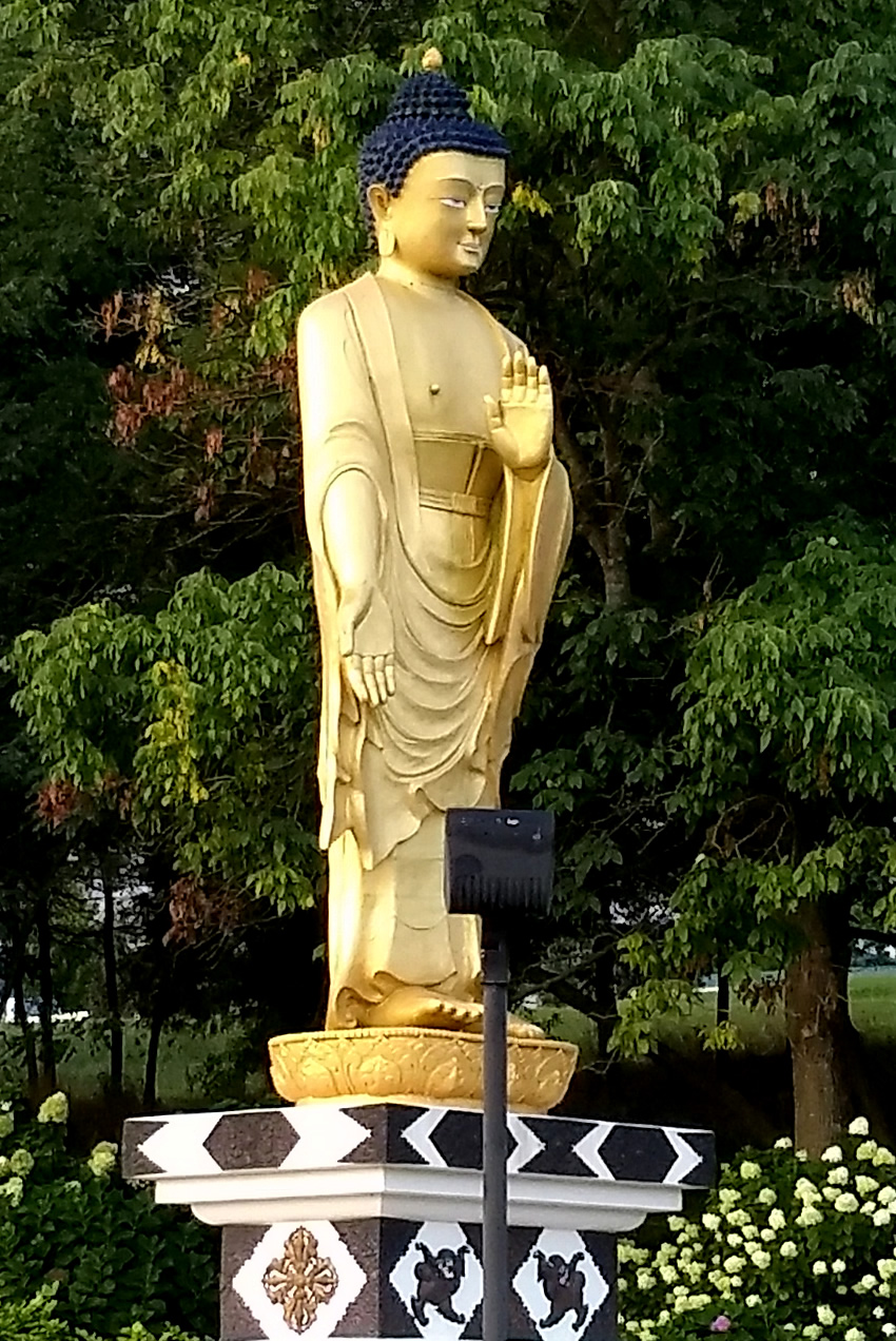 The Lotus Garden Buddha