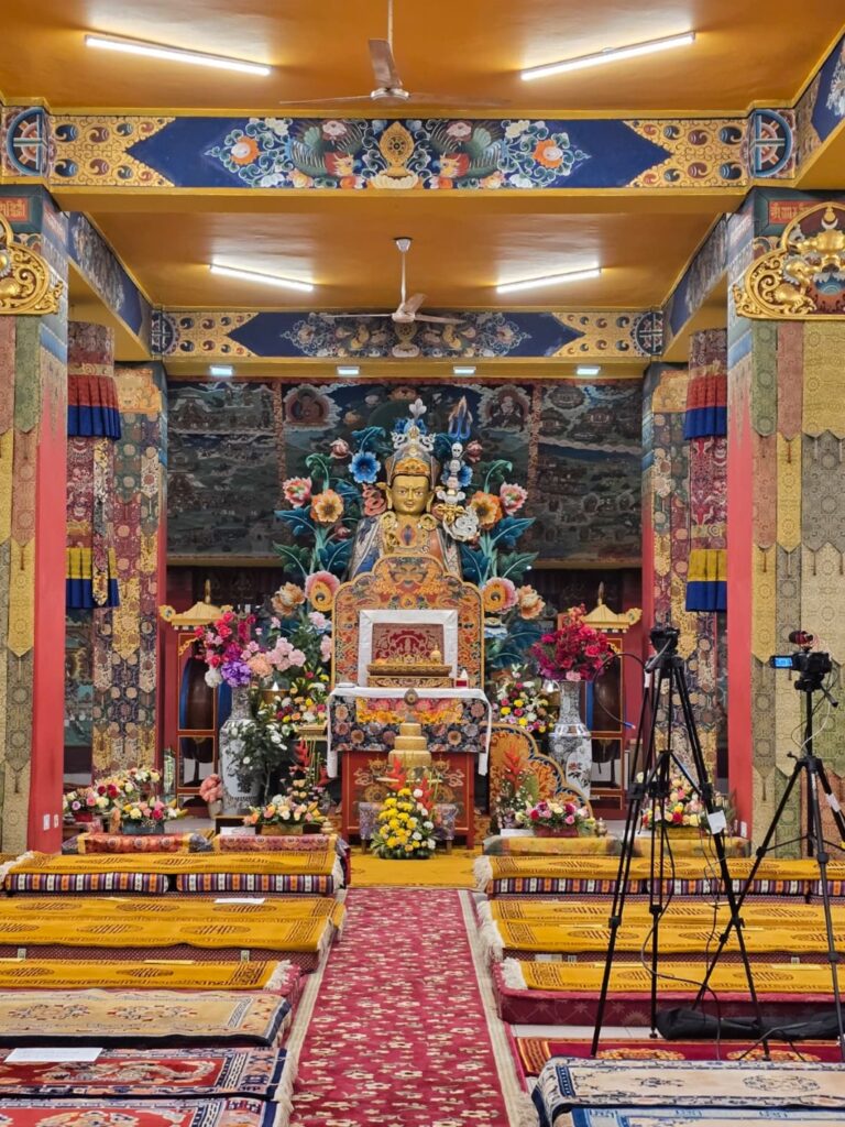 WhatsApp Image 2025-11-29 at 12.42.07_301b686e (Custom)