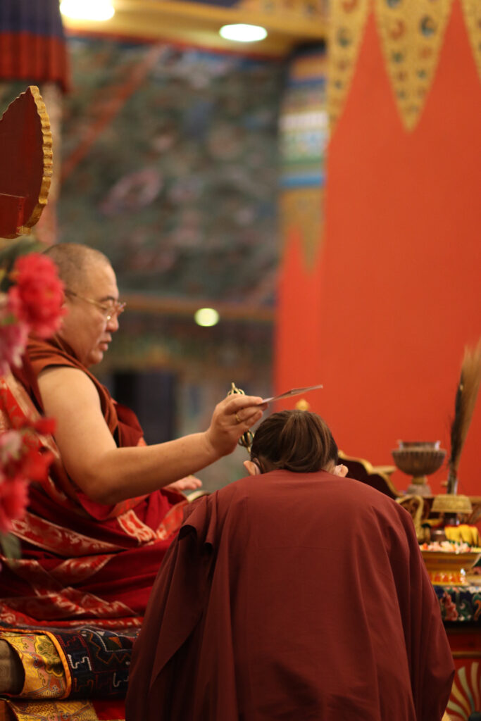 Kama News Day 6 20251205 3999